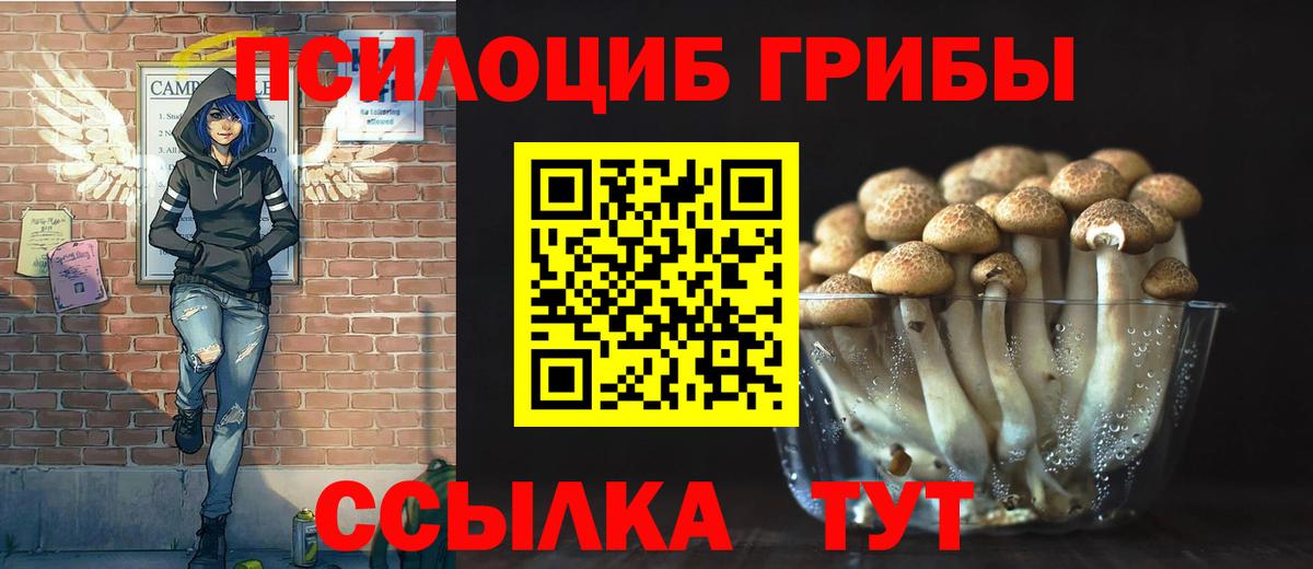 Галлюциногенные грибы мицелий Кинель