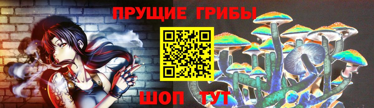 Кинель  Псилоцибиновые грибы Psilocybine cubensis  Вход с VPN  Галлюциногенные грибы мицелий 